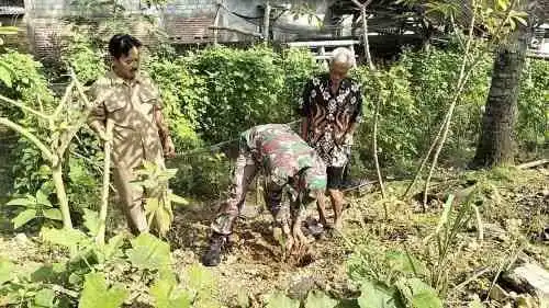 Lestarikan Alam, Babinsa Sidomulyo Sertu Deny Bersama Warga Gelar Aksi Tanam Pohon