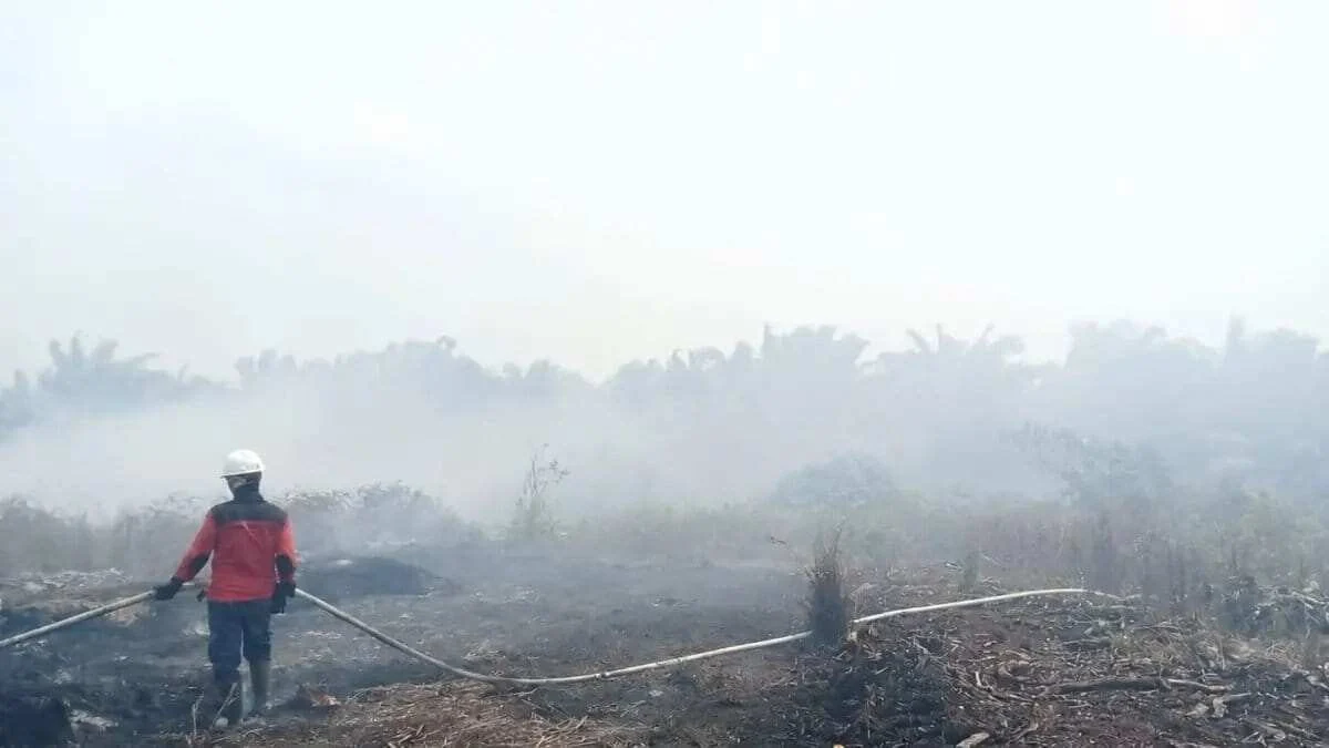 Keterlibatan Bersama dalam Menghadapi Karhutla di Tengah El Nino