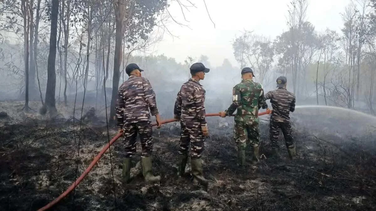 Strategi Menangani Kebakaran Hutan dan Lahan di Riau