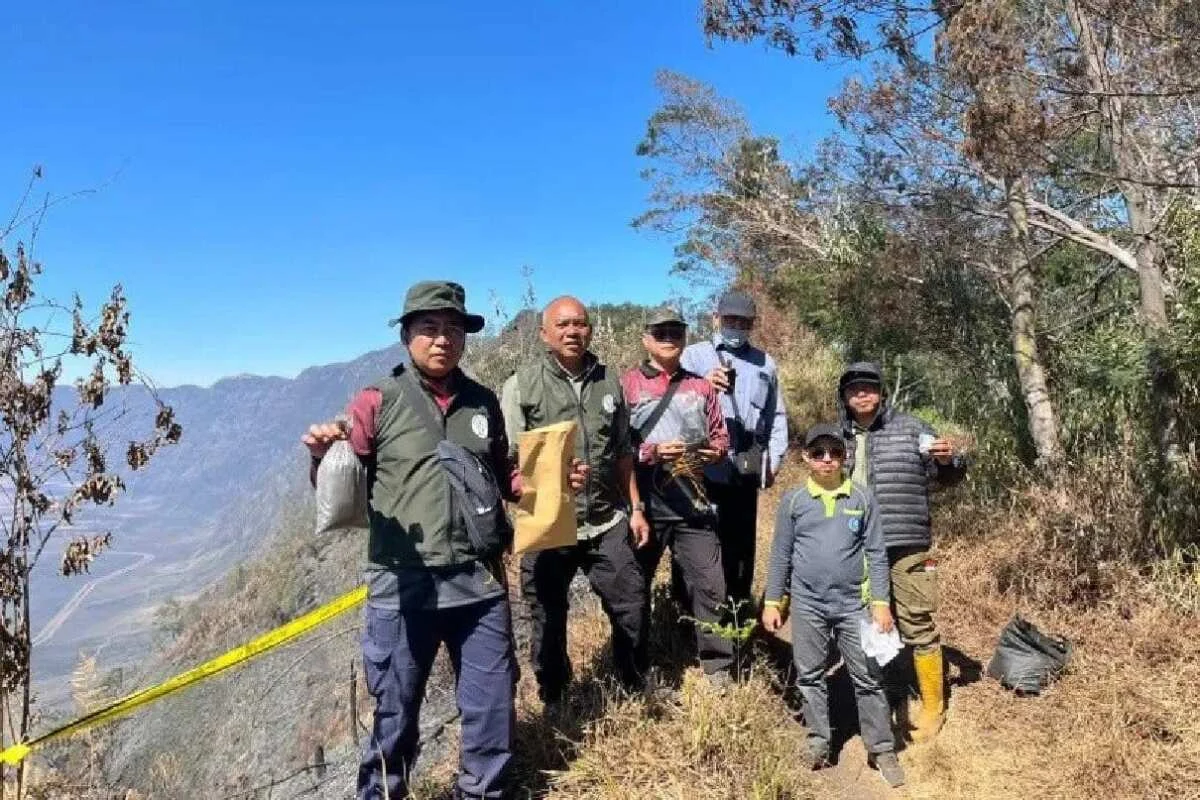 Investigasi Kebakaran Hutan di Gunung Bromo