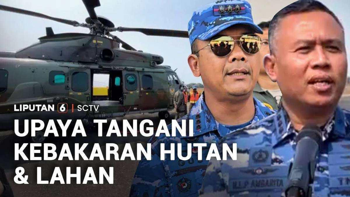 Upaya Penanganan Kebakaran Hutan dan Lahan di Indonesia