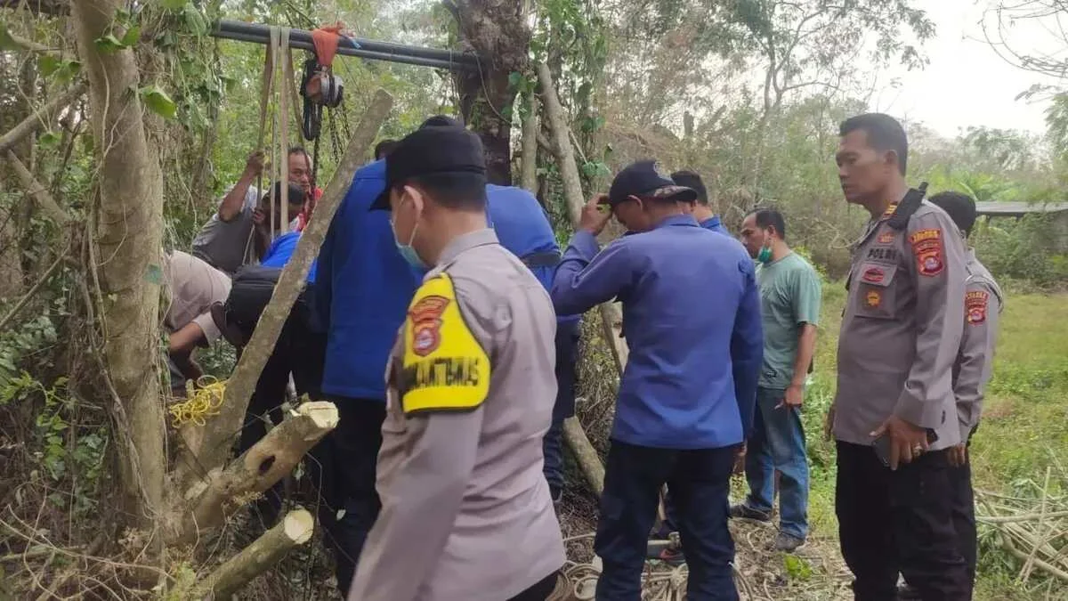 Evakuasi Kerbau Terperosok di Sumur Tua di Serang