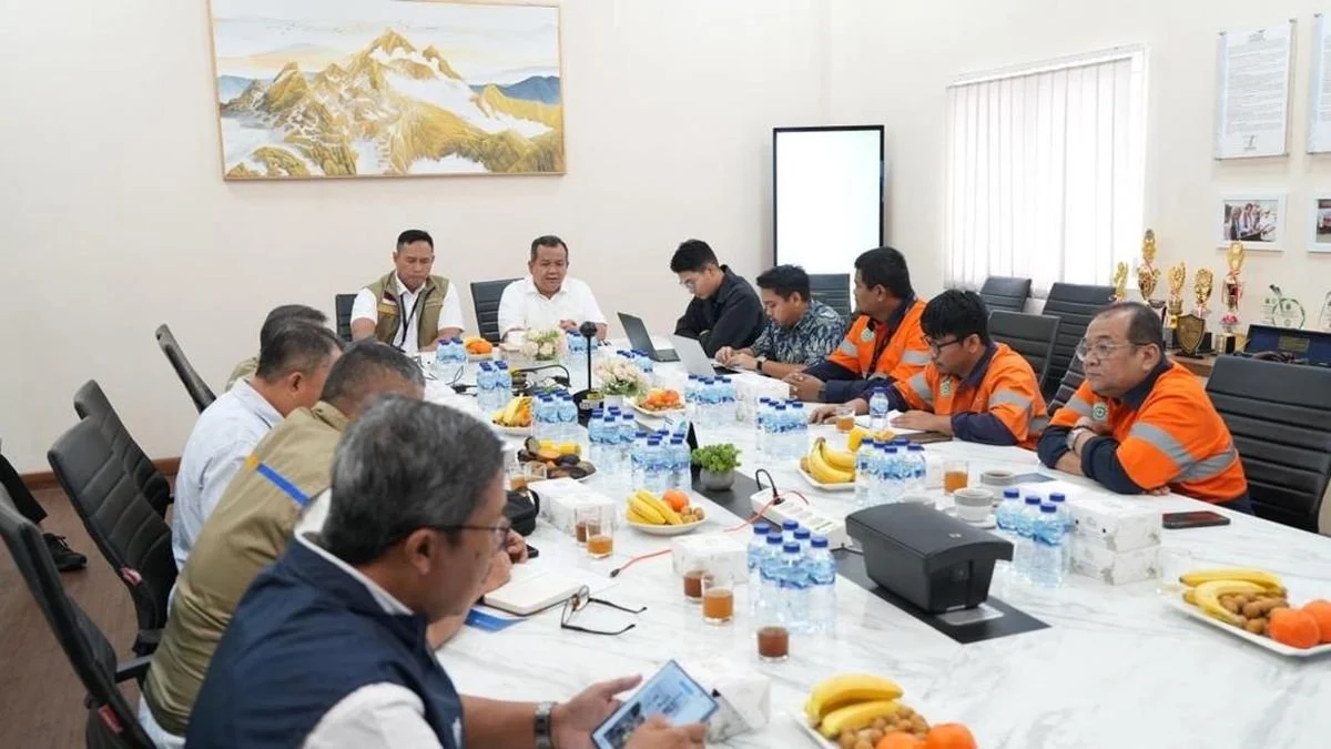 Kolaborasi Bulog dan Wilmar Group dalam Penyediaan Beras Premium