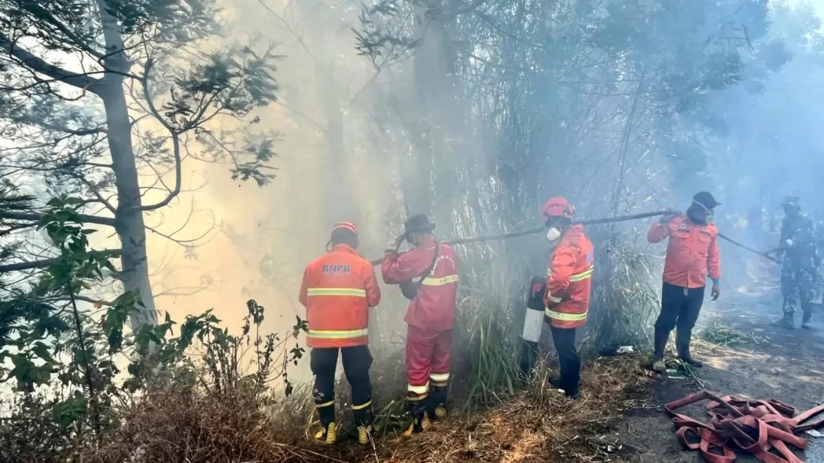 Gangguan Pemadaman Kebakaran Hutan Bromo Akibat Cuaca Ekstrem