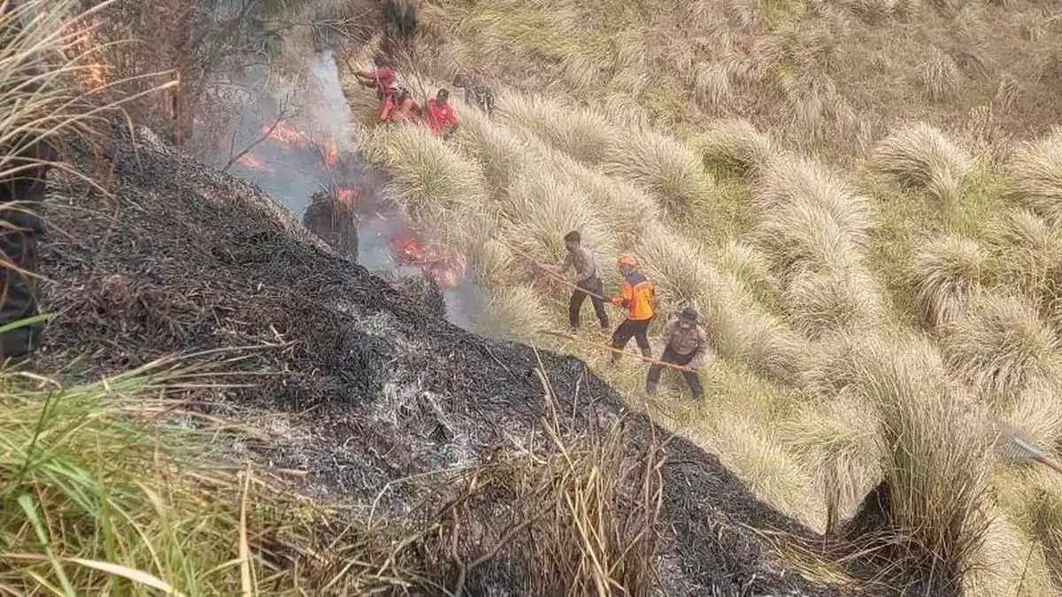 Kebakaran di Kawasan Bromo Tewaskan Tiga Orang Saat Pemadaman