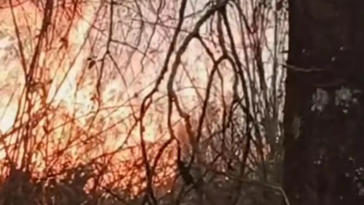Kebakaran Hutan di Lereng Lawu: Api Meluas dan Upaya Pemadaman Berlanjut