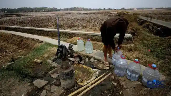 Kekeringan Berkepanjangan Membuat Warga Medalkrisna Kesulitan Air Bersih
