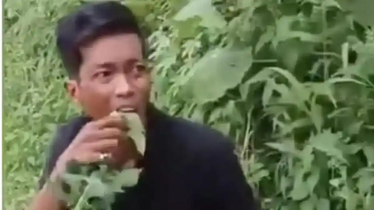Dugaan Pencurian Pepaya di Deli Serdang Viral, Polisi Periksa Saksi dan Korban