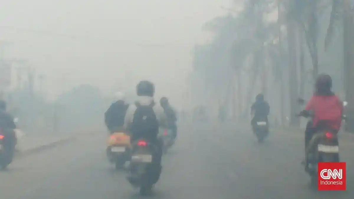Kabut Karhutla Menyelimuti Sumsel, Warga Keluhkan Gangguan Kesehatan dan Aktivitas