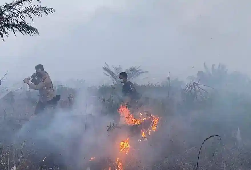 Karhutla Picu 333.470 Kasus ISPA, Pemerintah Siagakan Layanan Kesehatan
