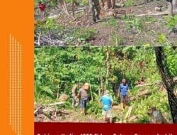 Babinsa Kodim 1505 Tidore Gotong Royong Ambil Kayu Bakar Bersama Warga