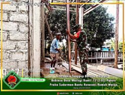 Semakin Tanggap Bersama Rakyat, Babinsa Desa Wailegi Ramil 1512-02/Patani Praka Sudarman Bantu Renovasi Rumah Warga