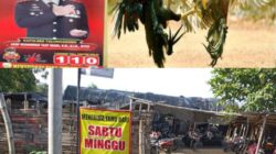 Judi Sabung Ayam di Bulusari Tulungagung Tetap Marak, Aduan Warga Tak Digubris Polisi