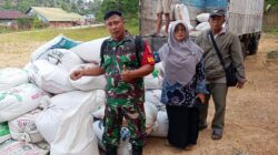 Jaga Stabilitas Ketersediaan Pangan, Babinsa Bukit Biru Dampingi Penyerapan Gabah Petani