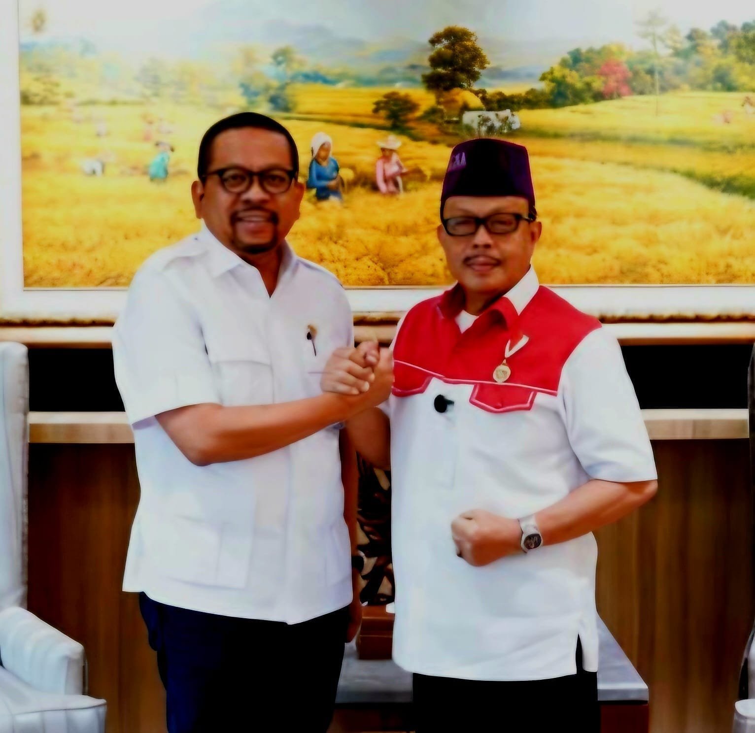 Putusan MK Dinilai Jadi Benteng Lawan Kriminalisasi dan Gugatan Pembungkaman Pers
