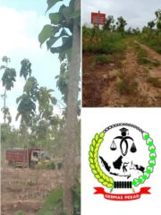 Tambang Diduga Ilegal Menggila di Tuban, Hukum Dikubur Hidup-Hidup oleh Pembiaran Aparat