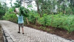 Aktivitas Warga Brabe Lancar Setelah Jalan Paving TMMD Ke-128 Rampung