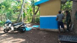 Tmmd