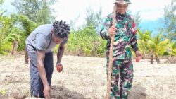 Manfaatkan Lahan Tidur, Satgas TMMD Ke-128 Kodim 1710/Mimika Tanam Jagung Bersama Warga
