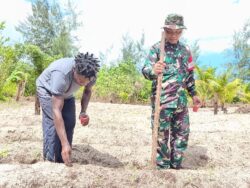 Manfaatkan Lahan Tidur, Satgas TMMD Ke-128 Kodim 1710/Mimika Tanam Jagung Bersama Warga
