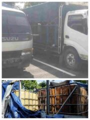 Penggerebekan Dini Hari di Pace, Polisi Bongkar Gudang Penimbunan Solar