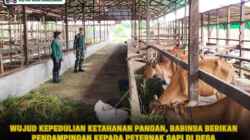 Wujud Kepedulian Ketahanan Pangan, Babinsa Berikan Pendampingan kepada Peternak Sapi di Desa