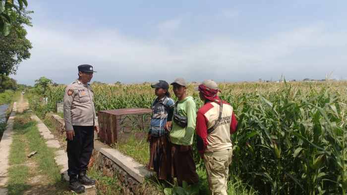 Polri Kawal Jagung Tumbuh Subur, Ketahanan Pangan Nasional Jadi Fokus Bersama
