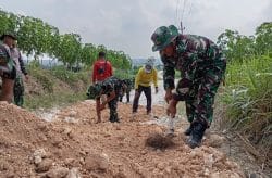 Babinsa Bubulan Bojonegoro dan Warga Kompak Perbaiki Jalan Dusun Maor