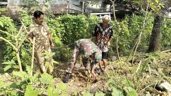 Lestarikan Alam, Babinsa Sidomulyo Sertu Deny Bersama Warga Gelar Aksi Tanam Pohon