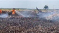 Tim Alpha Laksanakan Fastrope ke Titik Api, Siap Buka Jalan Tim Free Fall di Pekanbaru