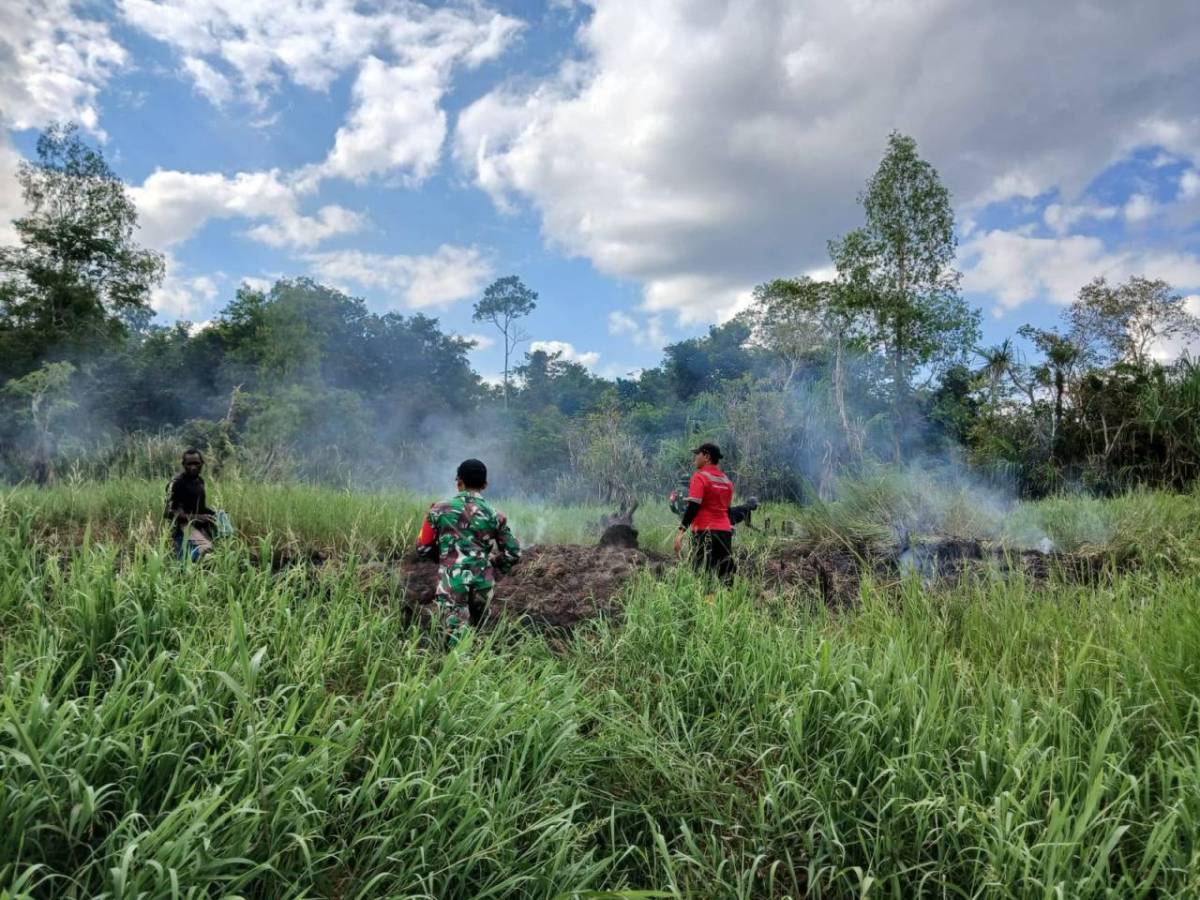 TNI Kerahkan 14.167 Personel Tangani Karhutla di Sejumlah Wilayah TNI Kerahkan 14.167 Personel Tangani Karhutla di Sejumlah Wilayah