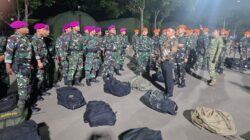 TNI Kerahkan Satgas Khusus Percepat Penanganan Karhutla di Riau