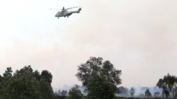 Pantau Dari Langit, Lanud Sjamsudin Noor Dukung Patroli Udara Helikopter Caracal TNI AU Dalam Penanganan Karhutla di Kasel