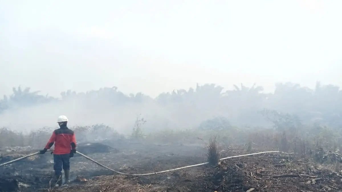 Menerapkan Teknologi dan Hukum untuk Mengatasi Karhutla di Kalimantan Menerapkan Teknologi dan Hukum untuk Mengatasi Karhutla di Kalimantan