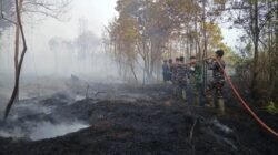 Hujan di Riau dan Upaya Pemadaman Karhutla Hujan di Riau dan Upaya Pemadaman Karhutla