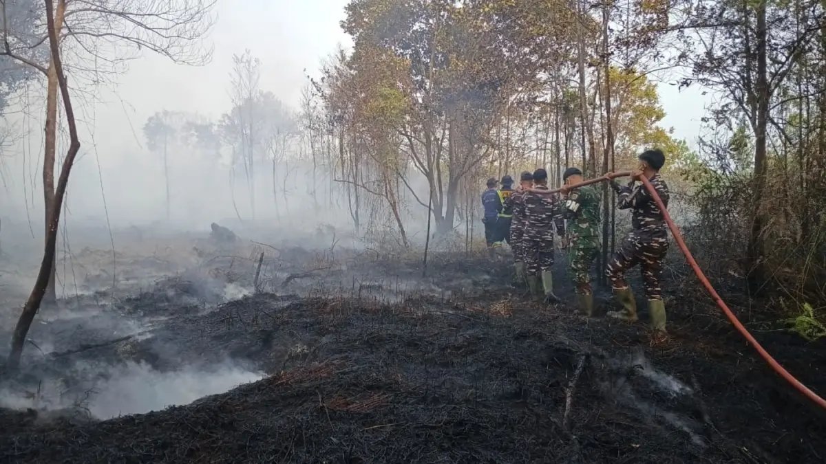 Hujan di Riau dan Upaya Pemadaman Karhutla Hujan di Riau dan Upaya Pemadaman Karhutla