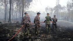 Strategi Menangani Kebakaran Hutan dan Lahan di Riau