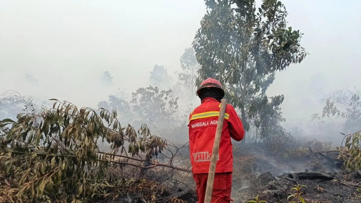 Titik Panas Karhutla Meningkat di Kalimantan Barat dan Tengah