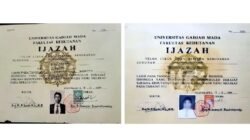 Fakta Menarik di Balik Font Times New Roman dalam Skripsi Jokowi