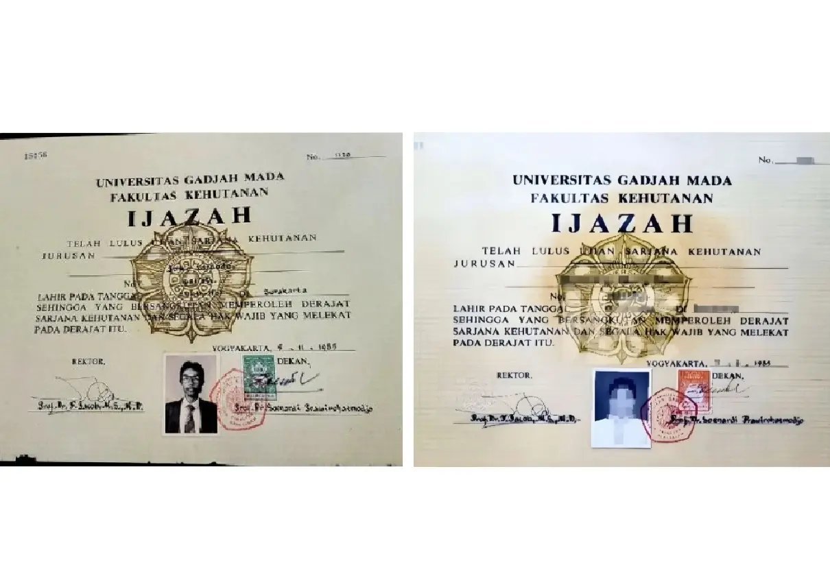 Fakta Menarik di Balik Font Times New Roman dalam Skripsi Jokowi