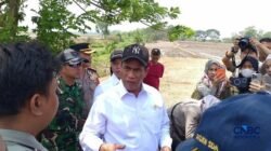Tindakan Tegas Amran Terhadap Pelanggaran Disiplin di Kementan