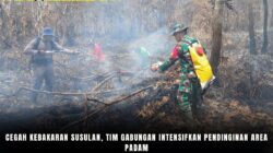 Cegah Kebakaran Susulan, Tim Gabungan Intensifkan Pendinginan Area Padam