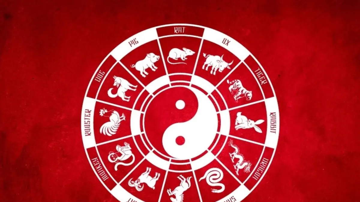 Ramalan Shio 28 Agustus 2026: Apa Kata Bintang untuk Tikus, Ular, Anjing, Kerbau, Naga, dan Ayam?