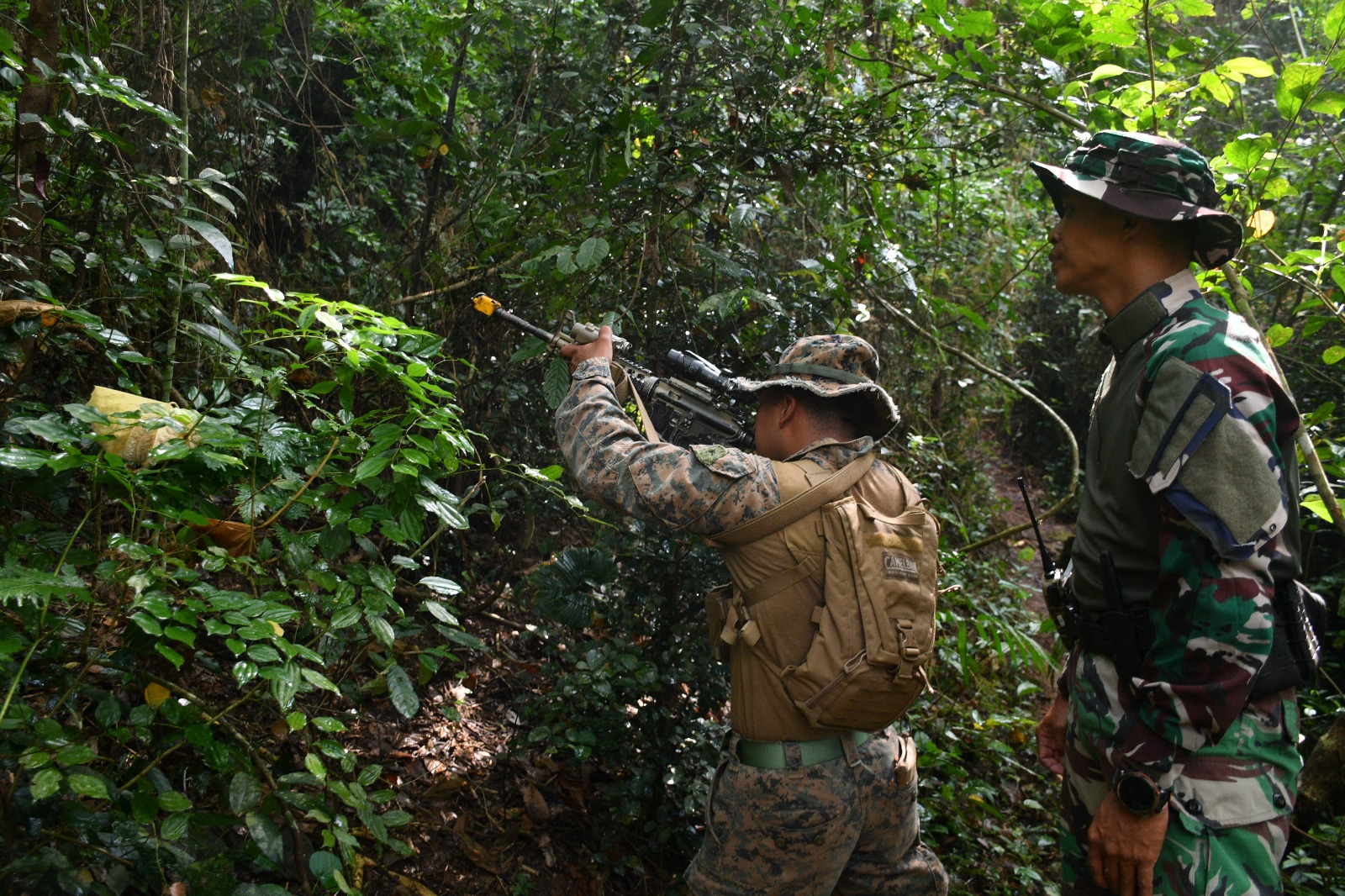 Latgabma Super Garuda Shield 2026 Marfor Lampung Gelar Latihan Menembak Sniper dan Jungle Survival