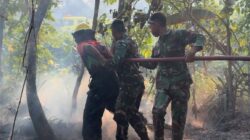 Gerak Cepat, TNI dan Tim Gabungan Berjuang Jinakkan Kebakaran Hutan dan Lahan 
