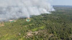 Respons Cepat Karhutla Dekat IKN, TNI Gerakkan Helikopter Caracal untuk Water Bombing