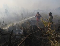 Kondisi Jarak Pandang di Kaltara akibat Asap Karhutla