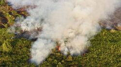 Penegakan Hukum Karhutla di Indonesia