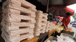 Potensi Tempe dalam Pangan Global