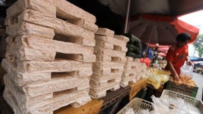 Potensi Tempe dalam Pangan Global